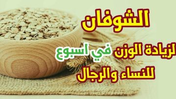 وصفة الشوفان لزيادة الوزن في اسبوع