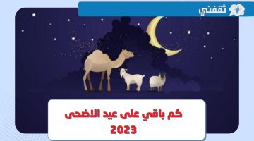 كم باقي على عيد الاضحى 2023 ؟.. تفاصيل تاريخ اجازة عيد الاضحى 1444 في السعودية