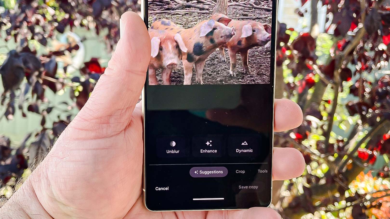 كيفية استخدام ميزة Photo Unblur في هاتف Pixel