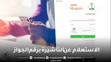 الاستعلام عن التأشيرة برقم الجواز