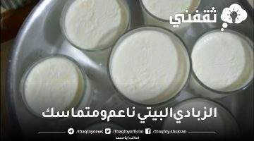 طريقة عمل الزبادي في البيت