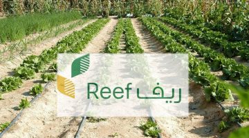 ما هي الميزة النسبية المدعومة في دعم ريف السعودية