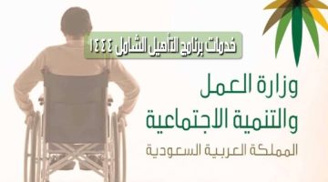 أهم خدمات وزارة العمل من برنامج التأهيل الشامل 1444