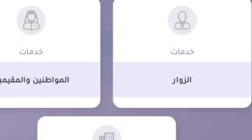 التحقق من رقم تأشيرة الدخول