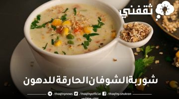 طريقة عمل شوربة الشوفان