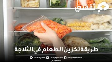 طريقة تخزين الطعام في الثلاجة