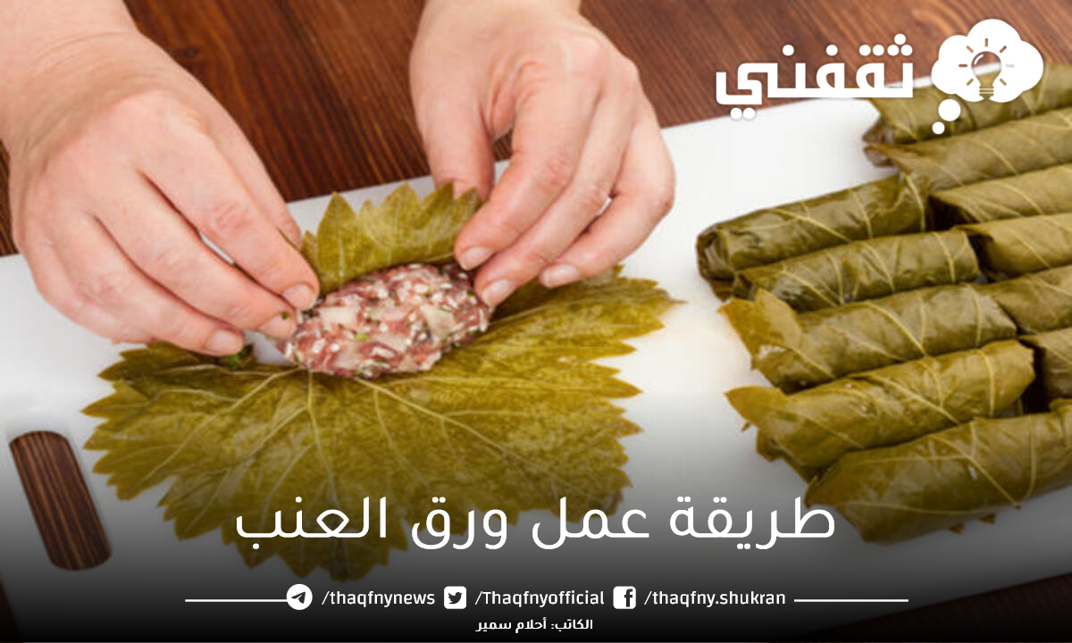 طريقة عمل ورق العنب