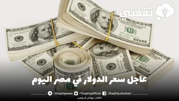 عاجل سعر الدولار في مصر اليوم بعد قرار البنك المركزي برفع سعر الفائدة 2%
