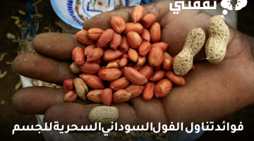 فوائد تناول الفول السوداني السحرية للجسم