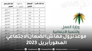 موعد نزول معاش الضمان الاجتماعي المطور أبريل 2023