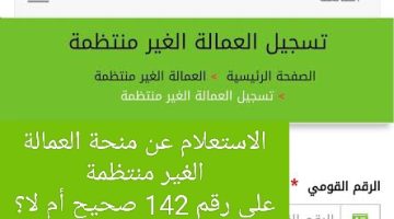 طريقة الاستعلام عن منحة العمالة الغير منتظمة من القوى العاملة المصرية 2023