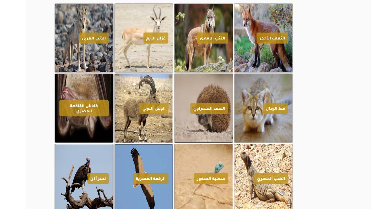 الحياة البرية بالمحمية