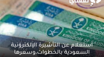 استعلام عن التأشيرة الإلكترونية السعودية بالخطوات،وسعرها