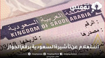 استعلام عن تأشيرة السعودية برقم الجواز