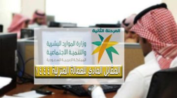 المرحلة الثانية من فرض المقابل المالي على العمالة المنزلية