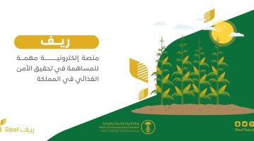 وزارة البيئة والمياه والزراعة توضح طريقة الاستعلام عن أهلية دعم ريف