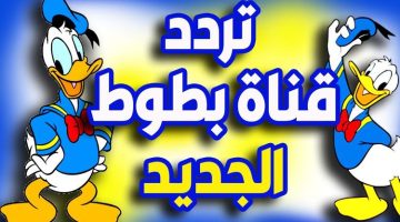 تردد قناة توم اند جيري