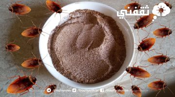 طريقة طبيعية للتخلص من الصراصير