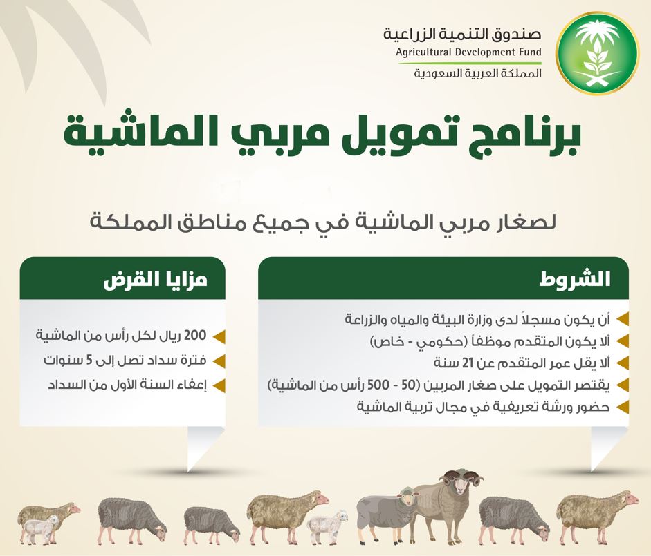 كم مبلغ دعم مربي المواشي