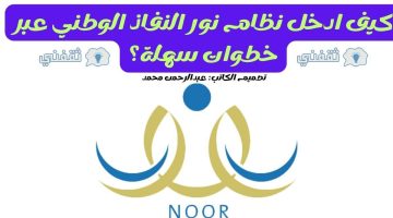 نظام نور النفاذ الوطني