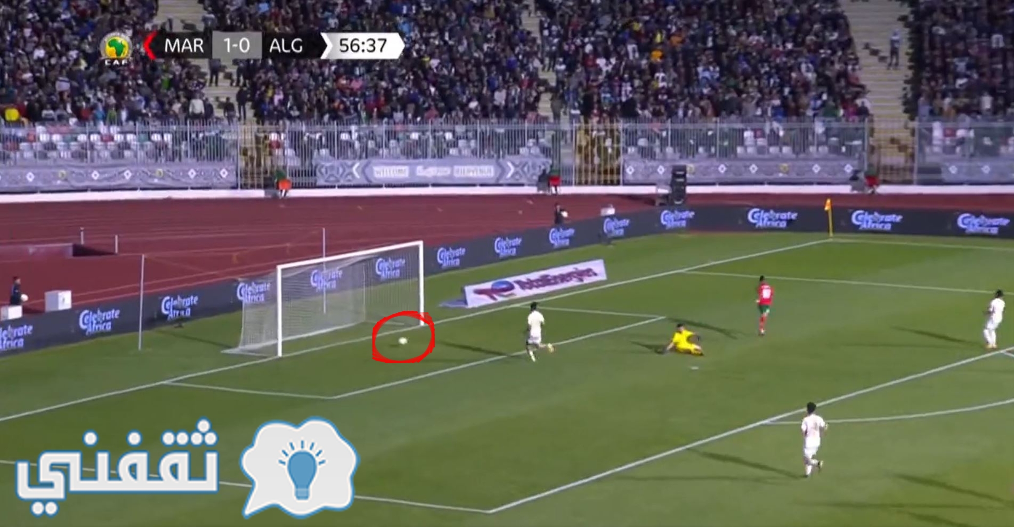 أهداف مباراة الجزائر والمغرب