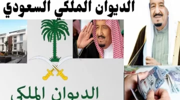 كيف اقدم على طلب مساعده ماليه من الديوان الملكي؟