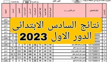 بصيغة pdf استخرج نتائج السادس الابتدائي 2023 العراق دور اول جميع المحافظات