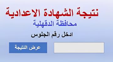 ظهرت.. نتيجة الشهادة الإعدادية محافظة الدقهلية 2023 برقم الجلوس