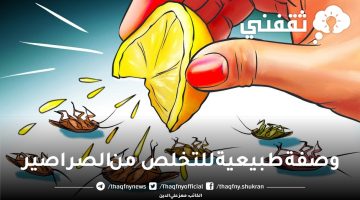 وصفة طبيعية للتخلص من الصراصير