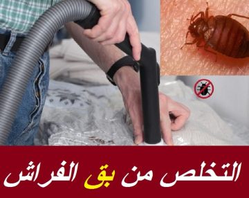 وداعًا بق الفراش إلى الأبد… بدون مبيدات ضارة هتتخلصي من البق بكل أمان وفاعلية