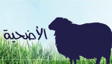 “منصة إحسان” شروط طلب اضحية من المنصة ومتابعة الطلب الكترونيا