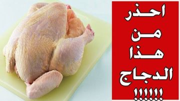أماكن بالدجاج ممنوع أكلها نهائيا تسبب العديد من الأمراض منها سرطان الرحم