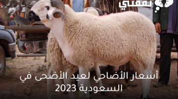 أسعار الأضاحي لعيد الأضحى في السعودية 2023