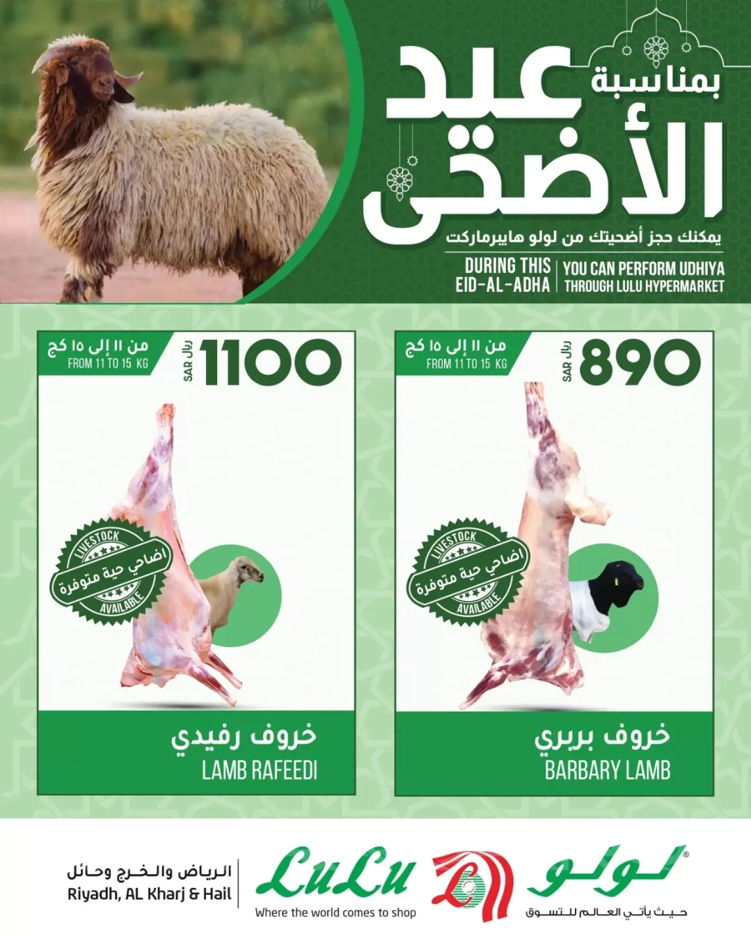 اسعار الاضاحي