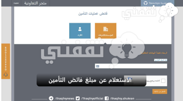 الاستعلام عن مبلغ فائض التأمين