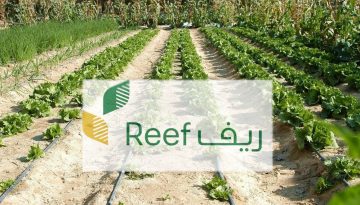وزارة البيئة والزراعة توضح أسباب تأخر صرف دعم ريف لهذا الشهر