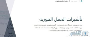 تأشيرة العمل الفورية.. طريقة أصدار التأشيرات المهنية الفورية عبر منصة قوي والرسوم والأوراق المطلوبة