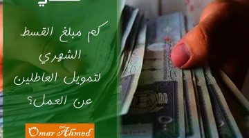 تمويل العاطلين عن العمل