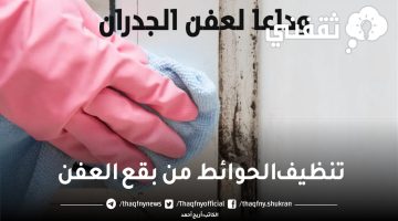 تنظيف الحوائط من بقع العفن