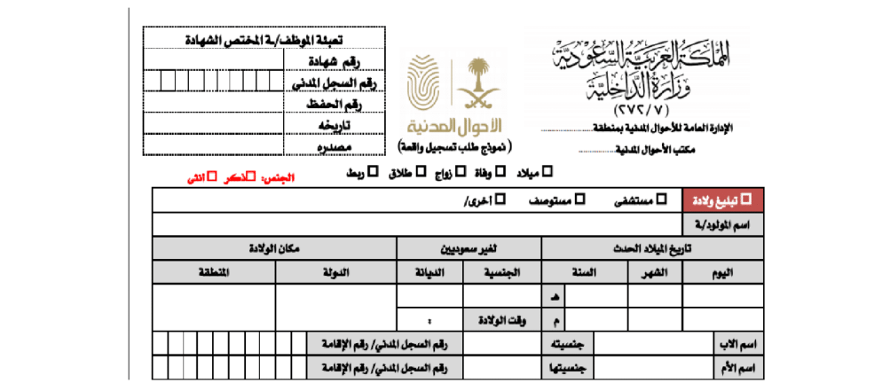 استخراج شهادة ميلاد طفل