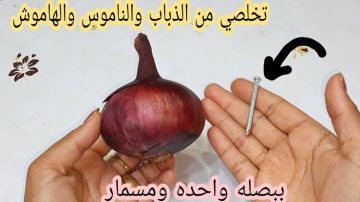 ببصله واحده ومسمار وتخلصي من النمل والذباب والناموس نهائيا بلا عودة وصفه لا تخطر على بال