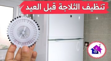 طريقة تنظيف الثلاجة