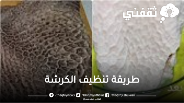 استعدي للعيد واللحمة.. طريقة تنظيف الكرشة في المنزل بطريقة سهل بدون كحت