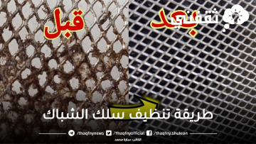 رشة واحدة من المكون العجيب هيزيل أصعب الدهون من سلك شباك المطبخ وهيرجعه جديد كما كان