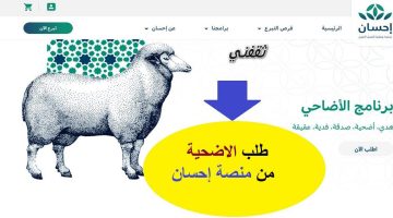 طلب أضحية منصة إحسان