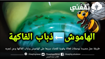 طريقة عمل مصيدة بوصفات فعالة وقوية للقضاء سريعا على الهاموش وذباب الفاكهة وعن تجربه
