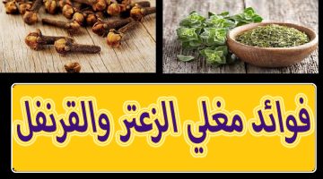 فوائد الزعتر على الريق