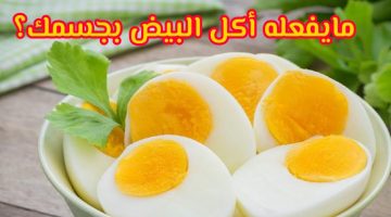 فوائد تناول البيض يوميا