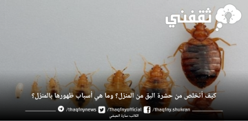 كيف أتخلص من حشرة البق من المنزل؟ وما هي أسباب ظهورها بالمنزل؟