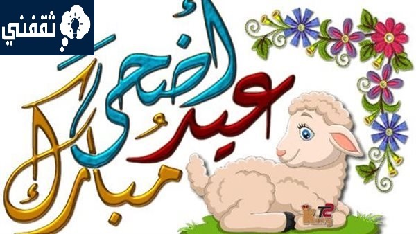 ماذا يقال في صباح عيد الاضحى؟